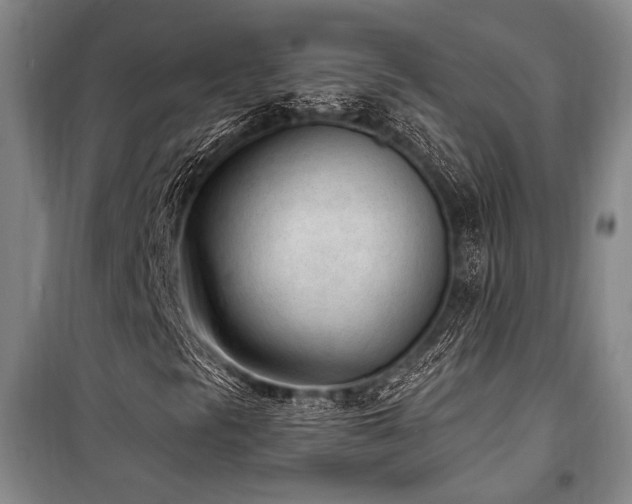 X0000101191297200806271306