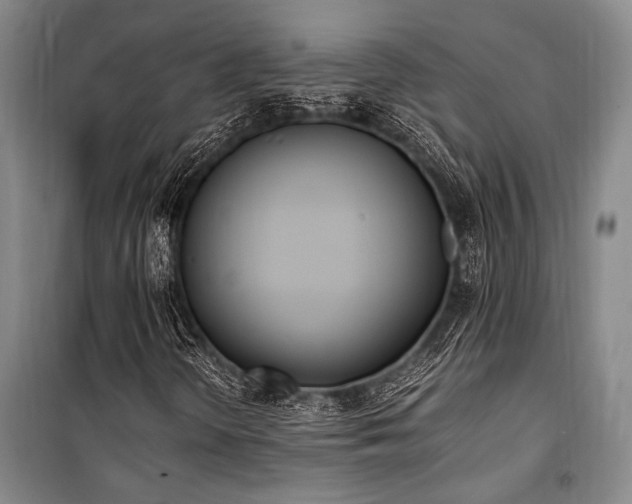 X0000101191298200806271306