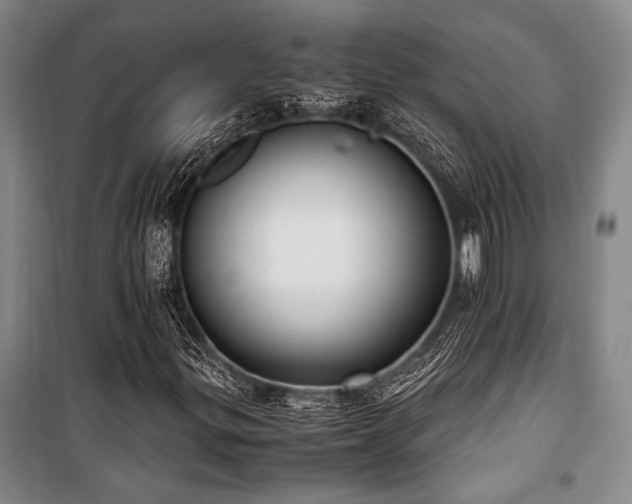 X0000101191299200806271306
