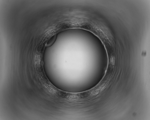X0000101191300200806271306