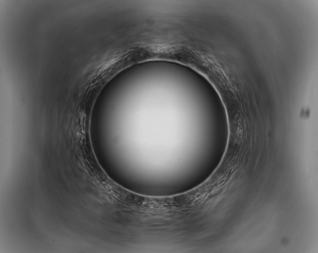 X0000101191301200806271306