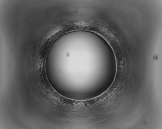 X0000101191302200806271306
