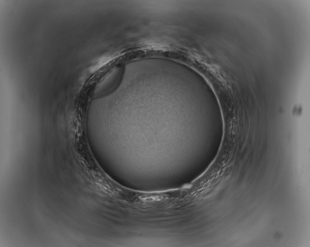X0000101191303200806271306