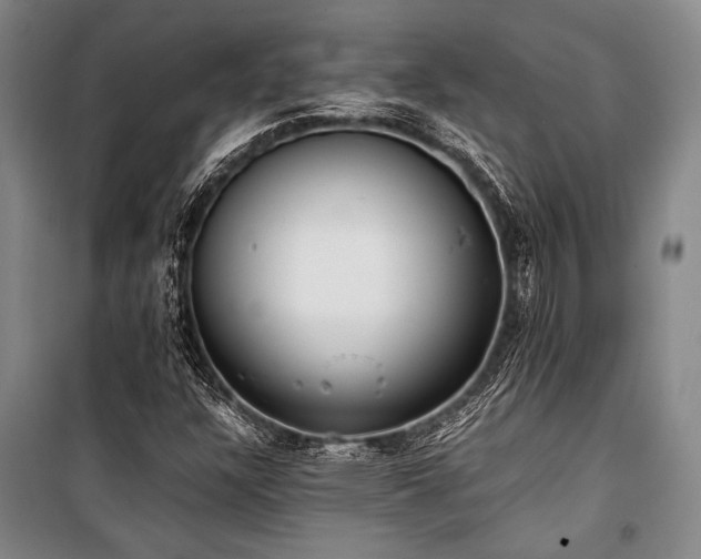 X0000101191304200806271306