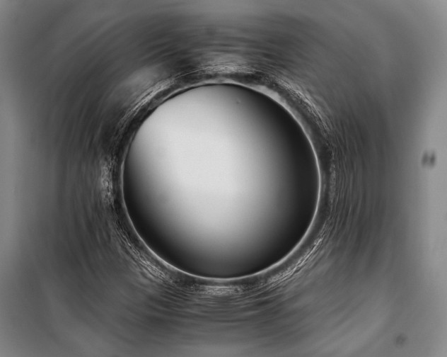X0000101191305200806271306