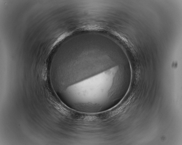X0000101191306200806271306