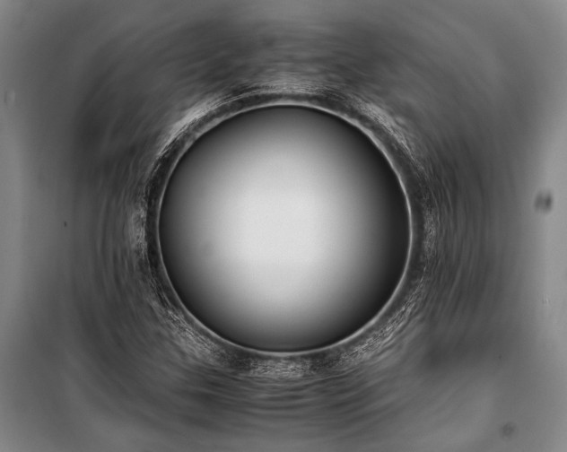 X0000101191307200806271306