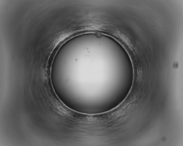 X0000101191308200806271306