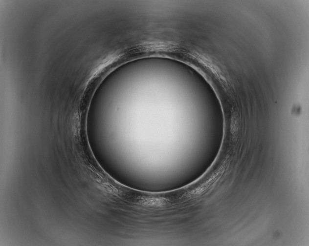 X0000101191309200806271306