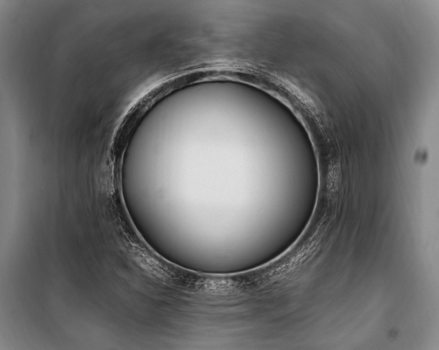 X0000101191310200806271306