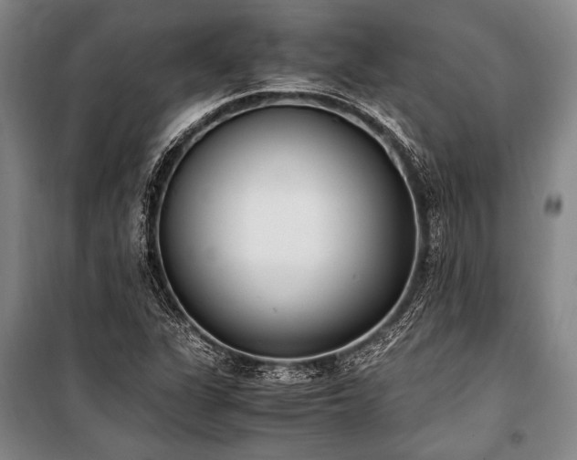 X0000101191311200806271306