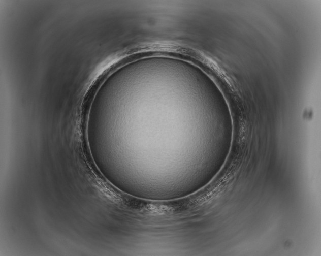 X0000101191312200806271306