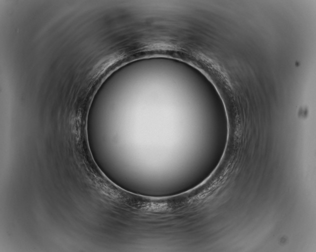 X0000101191313200806271306