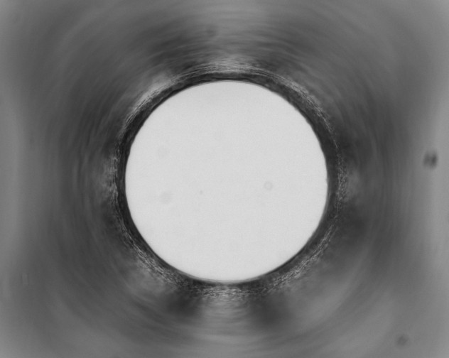 X0000101191314200806271306