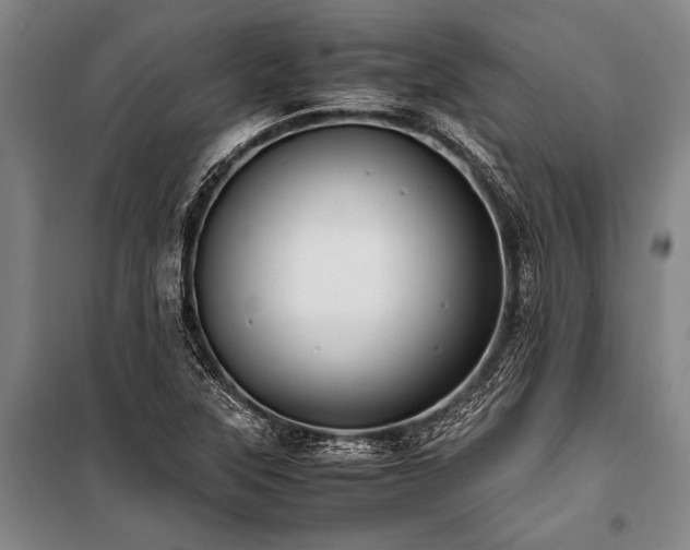 X0000101191315200806271306