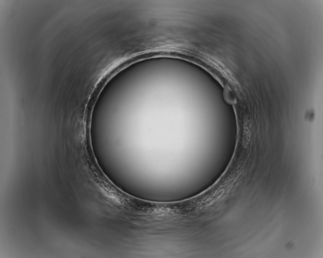 X0000101191316200806271306