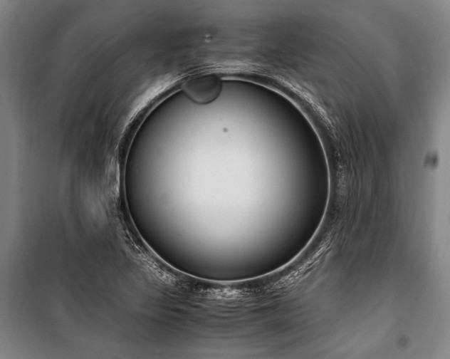 X0000101191317200806271306