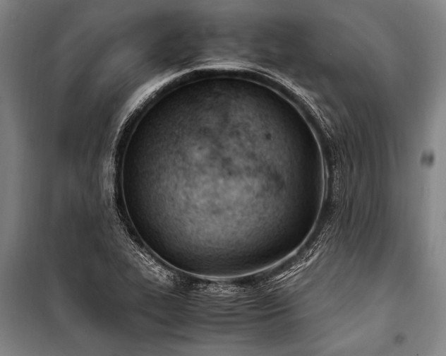 X0000101191319200806271306