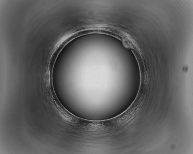 X0000101191320200806271306