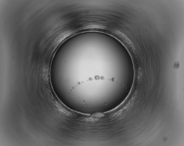 X0000101191321200806271306
