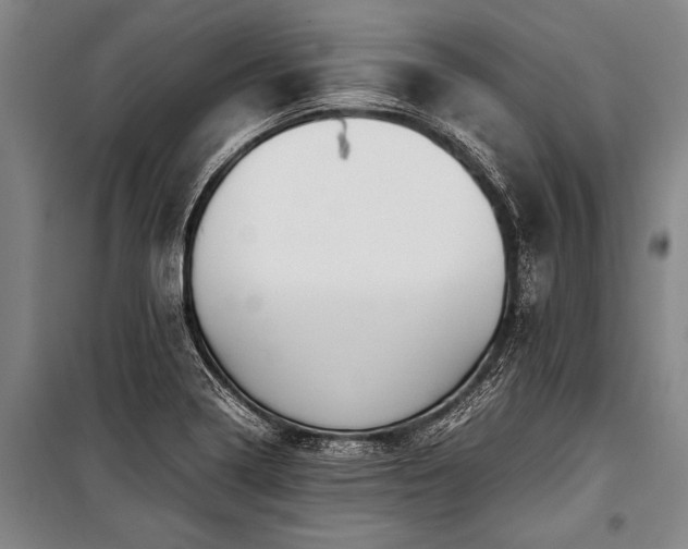 X0000101191322200806271306