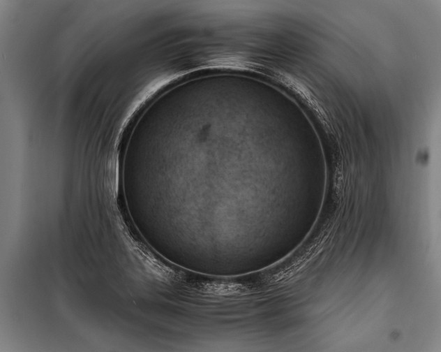 X0000101191323200806271306
