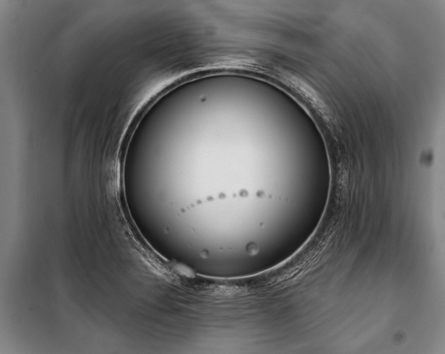 X0000101191324200806271306