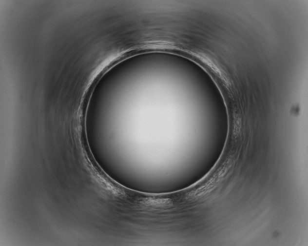 X0000101191325200806271306