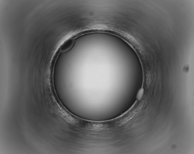 X0000101191326200806271306