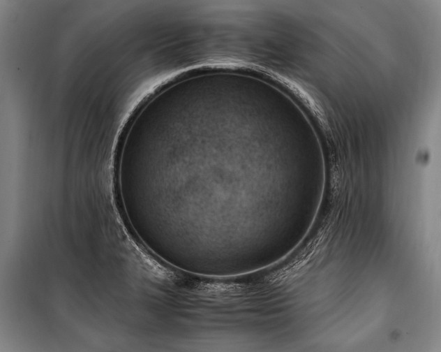 X0000101191327200806271306