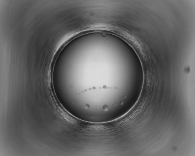 X0000101191328200806271306