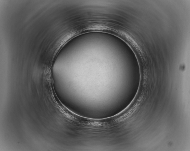 X0000101191329200806271306