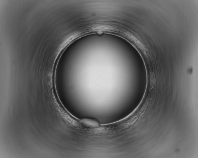 X0000101191330200806271306