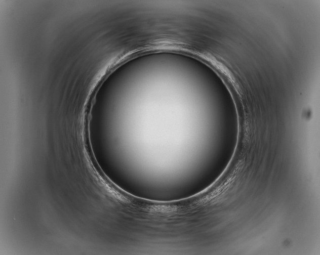X0000101191333200806271306