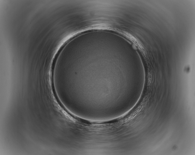 X0000101191334200806271306