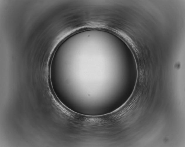 X0000101191335200806271306