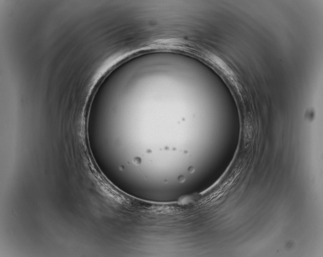 X0000101191336200806271306