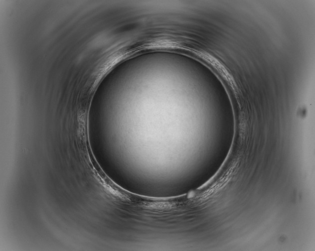 X0000101191337200806271306