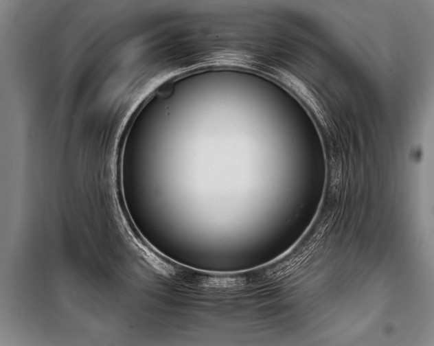 X0000101191339200806271307