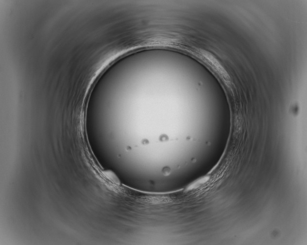 X0000101191340200806271307