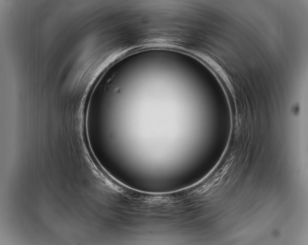 X0000101191341200806271307