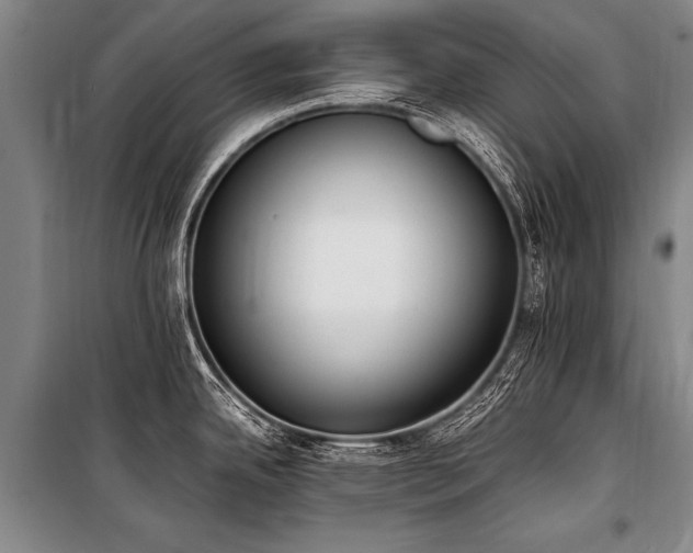 X0000101191342200806271307