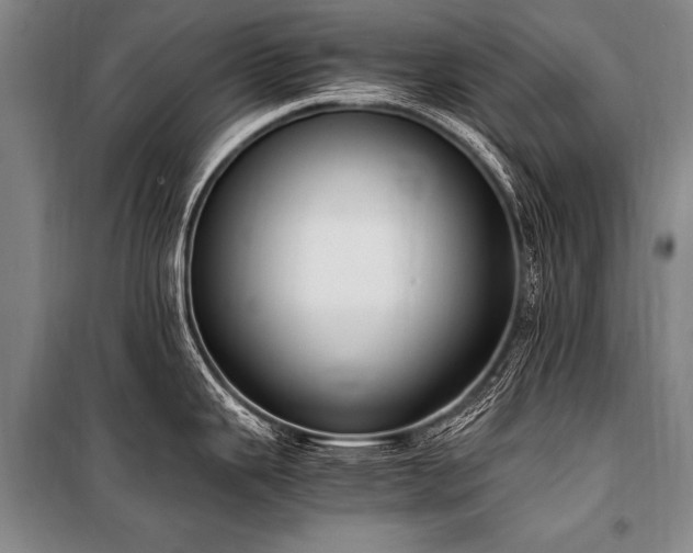 X0000101191343200806271307