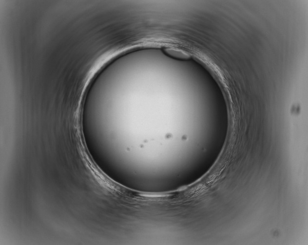 X0000101191344200806271307