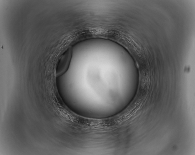 X0000101191345200806271306