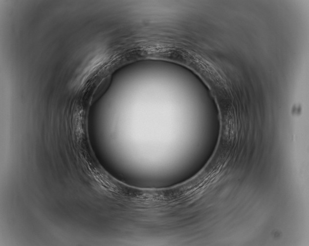 X0000101191346200806271306