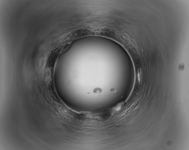 X0000101191347200806271306