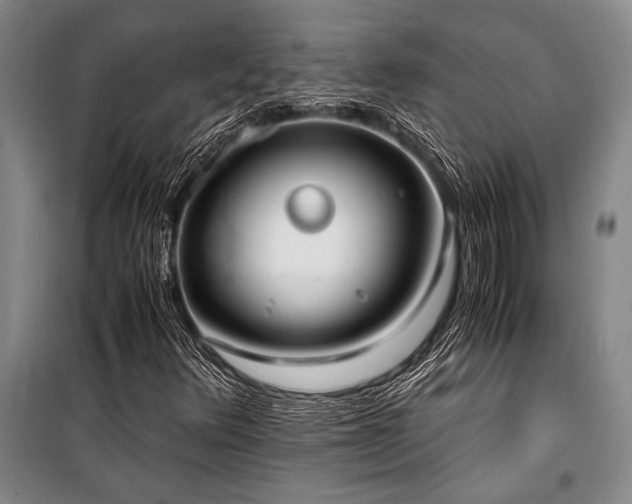 X0000101191348200806271306