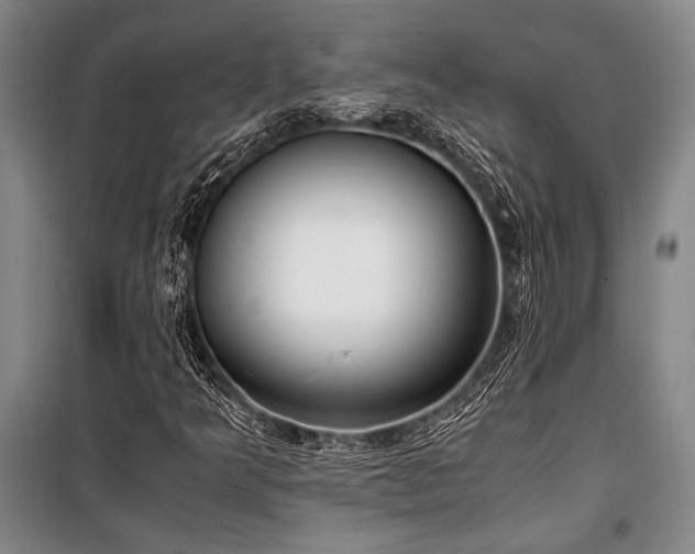 X0000101191349200806271306