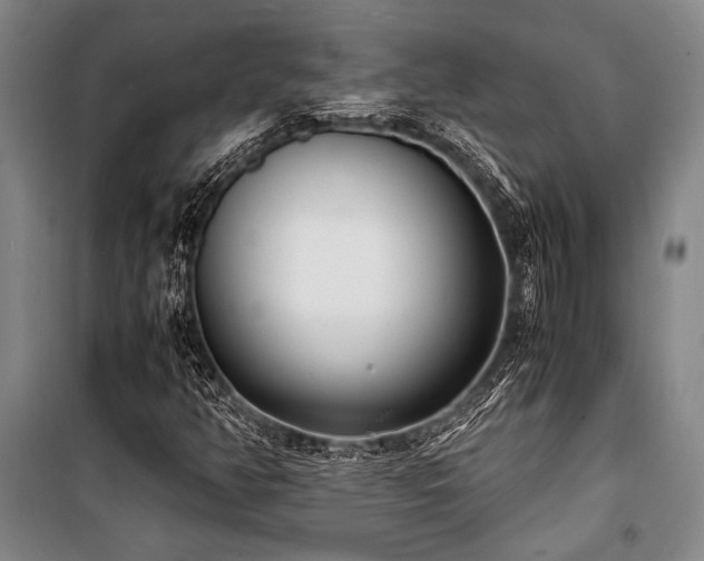 X0000101191350200806271306
